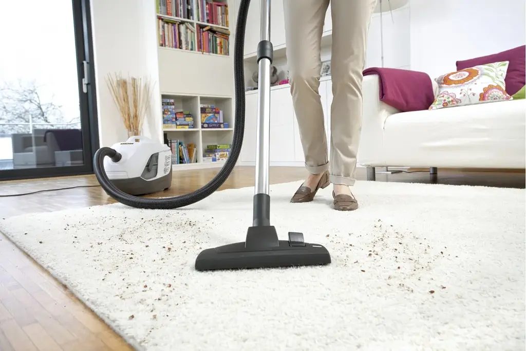 Пилосос миючий Karcher DS 6 Plus 650 Вт вода -2 л НЕРА білий - фото 10