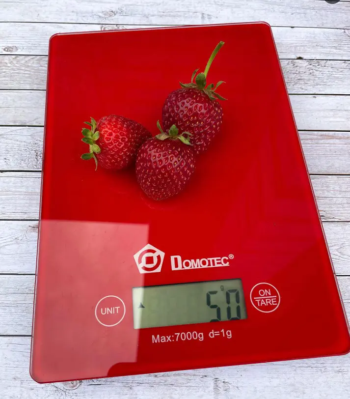Настольные кухонные электронные весы Domotec MS-912 для взвешивания продуктов до 5 кг Красные - фото 3