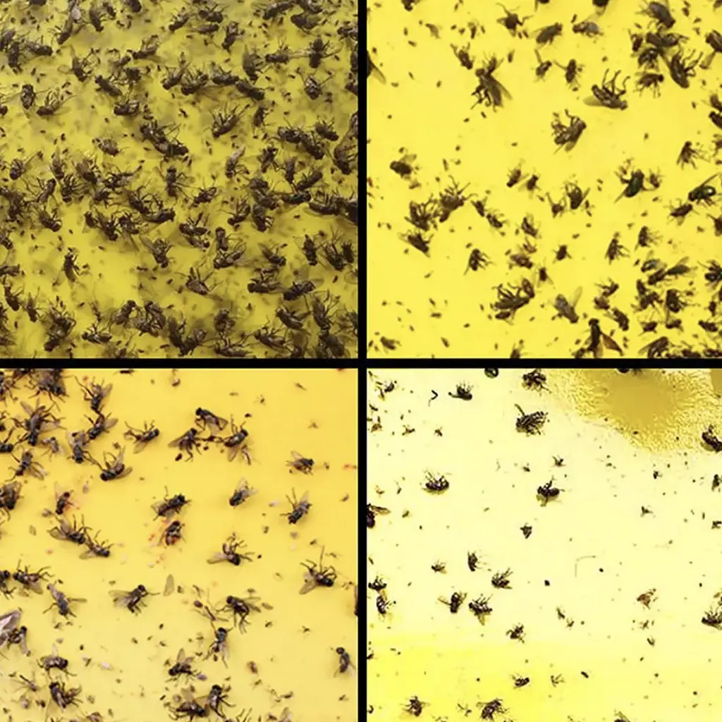 Ловушка сильная липкая доска от насекомых: тли вредителя, мух, комаров, белокрылки, 5 шт упаковка - фото 5