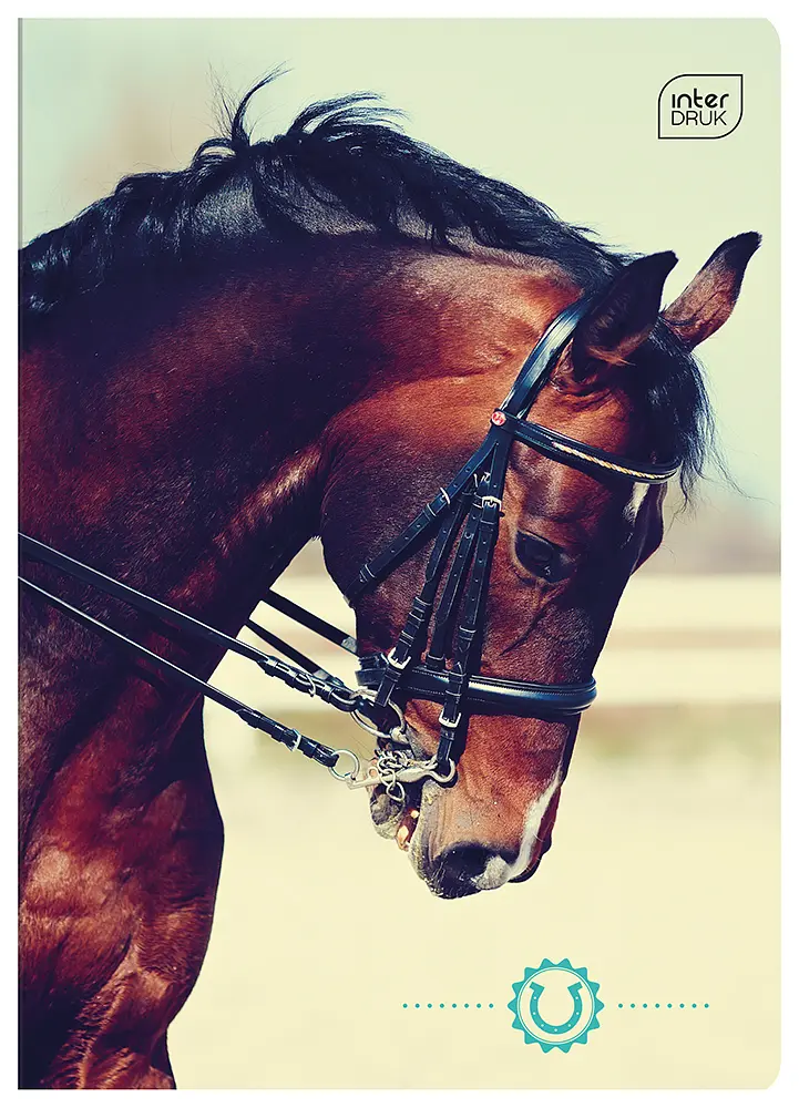 Зошит Interdruk Horses клітинка A5 12 аркушів 8 шт. (298546-8) - фото 4