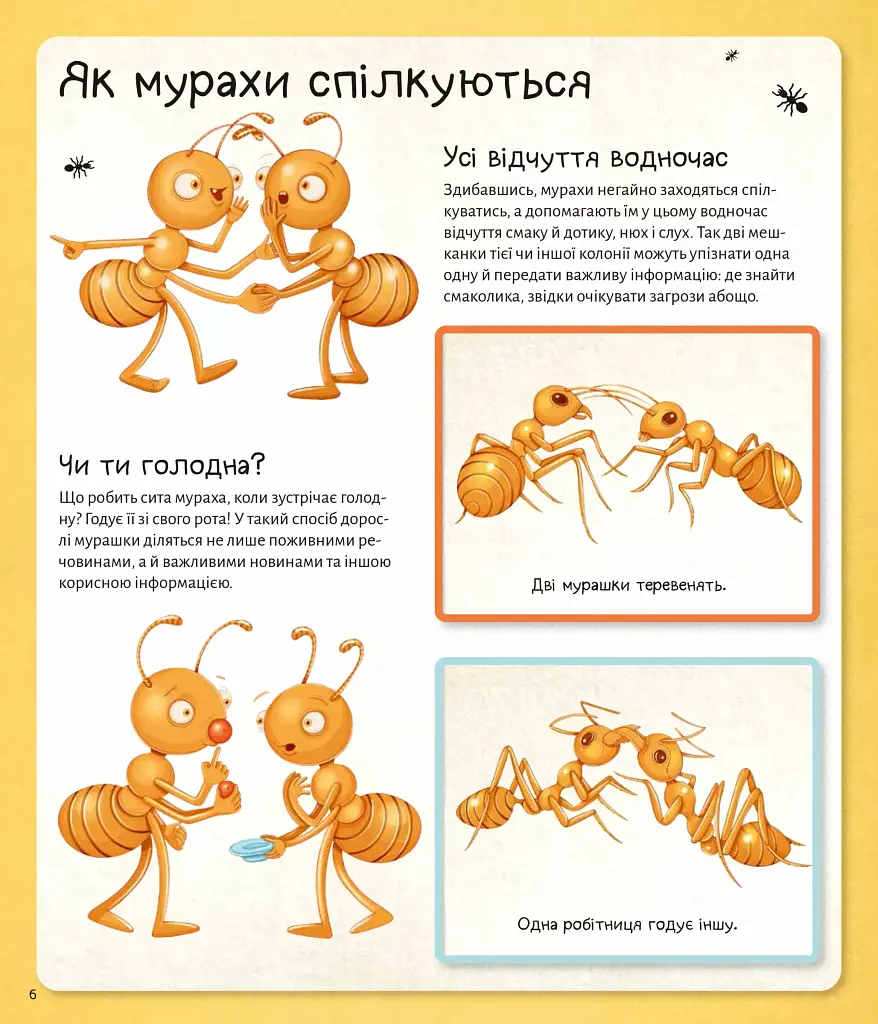 Світ мурах - фото 8