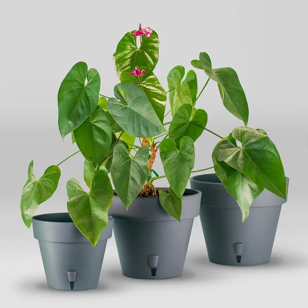 Вазон Santino Latina з картриджем 14.5 л антрацит (2007650) - фото 7