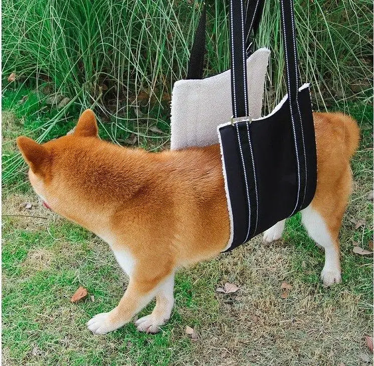 Підтримуюча шлейка для собак Harness Helps, нагрудна/для стегон L - фото 3