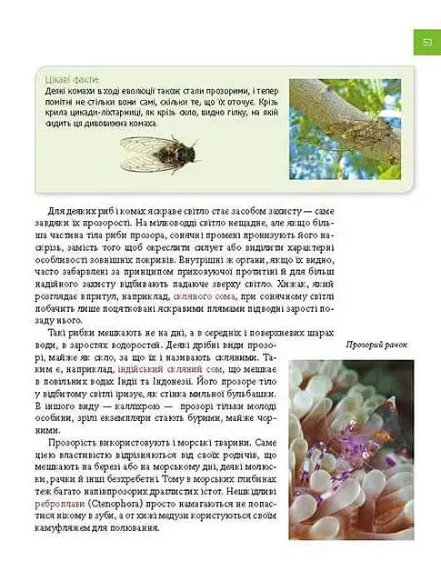 Тварини - майстри маскування. Енциклопедія для допитливих - Андрій Гапченко - фото 11