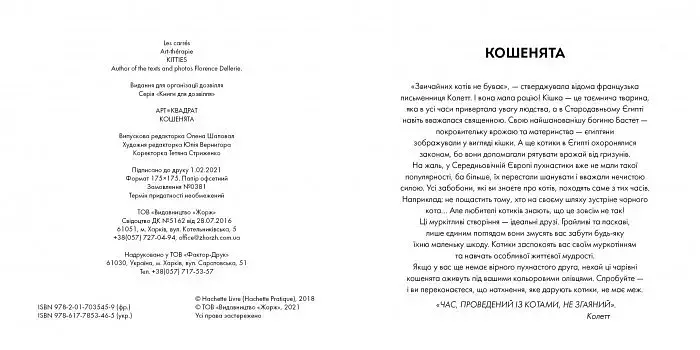 Арт-квадрат. Кошенята - Флоранс Деллері - фото 3