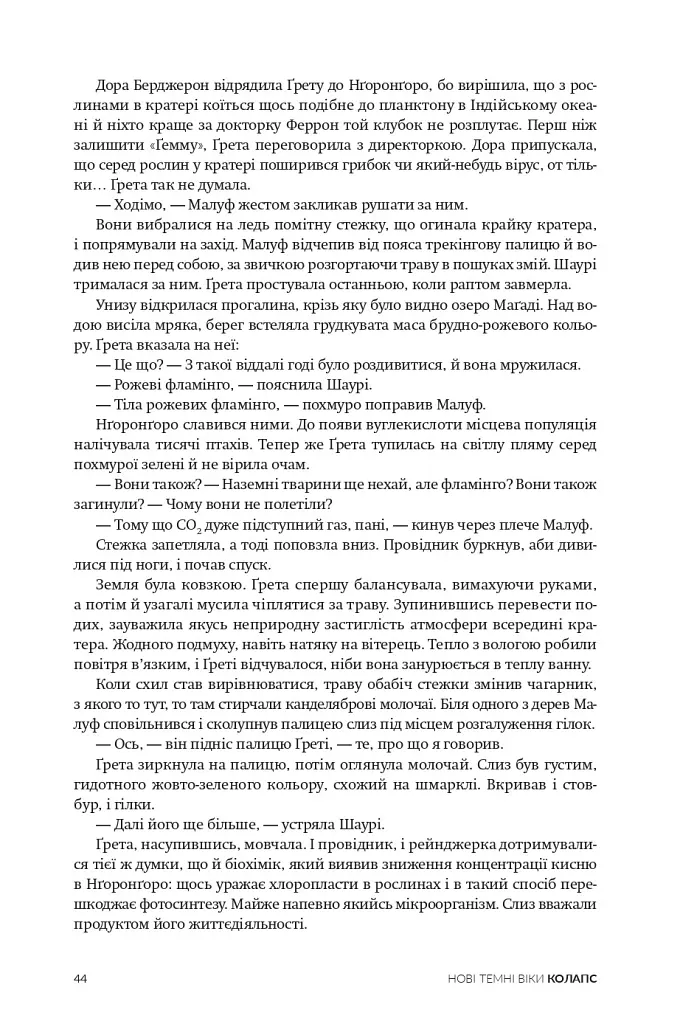 Нові Темні Віки. Колапс - Макс Кідрук - фото 6