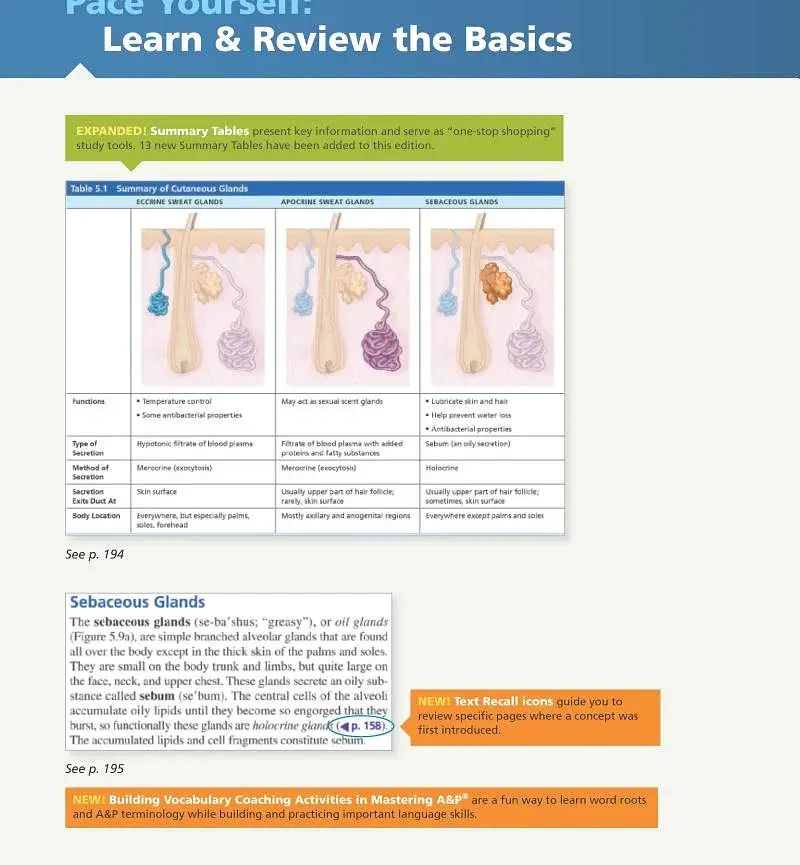 Human Anatomy & Physiology Global Edition - фото 3