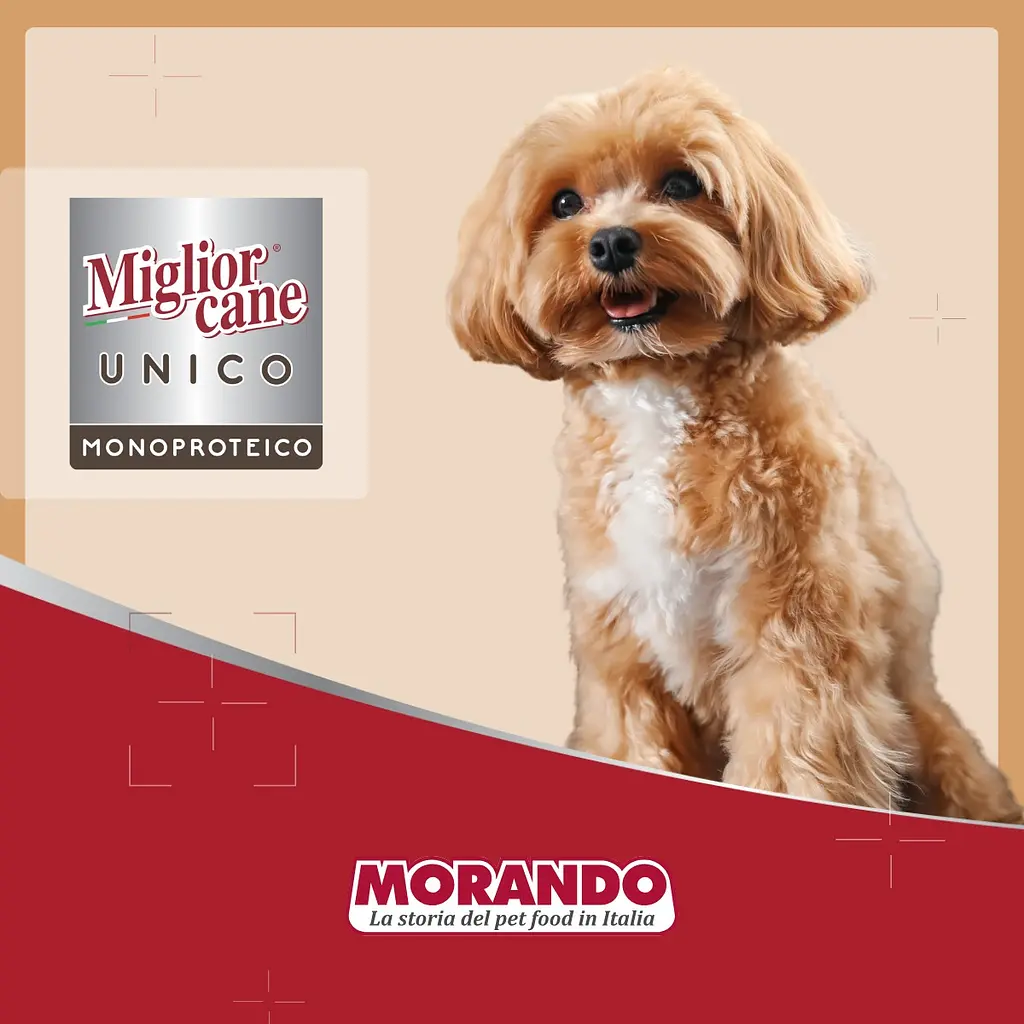 Вологий корм для собак Morando Migliorcane Unico паштет з ягняти 100 г - фото 6