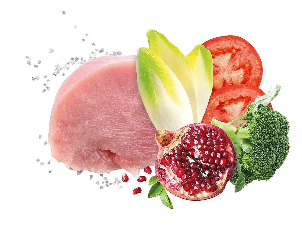 Корм Exclusion Adult Turkey для взрослых собак всех пород с индейкой 400 г - фото 2