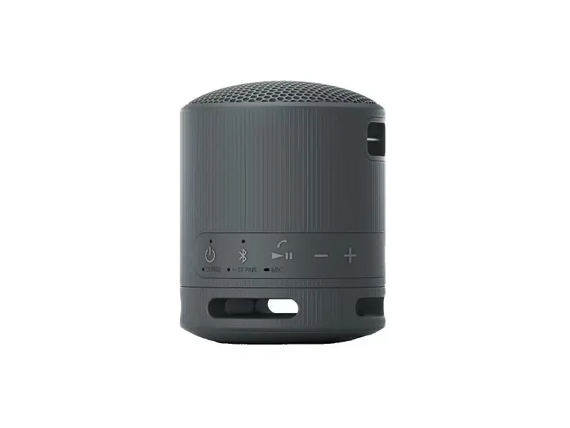 Портативна колонка Sony SRS-XB100 Black (SRSXB100B) - фото 3