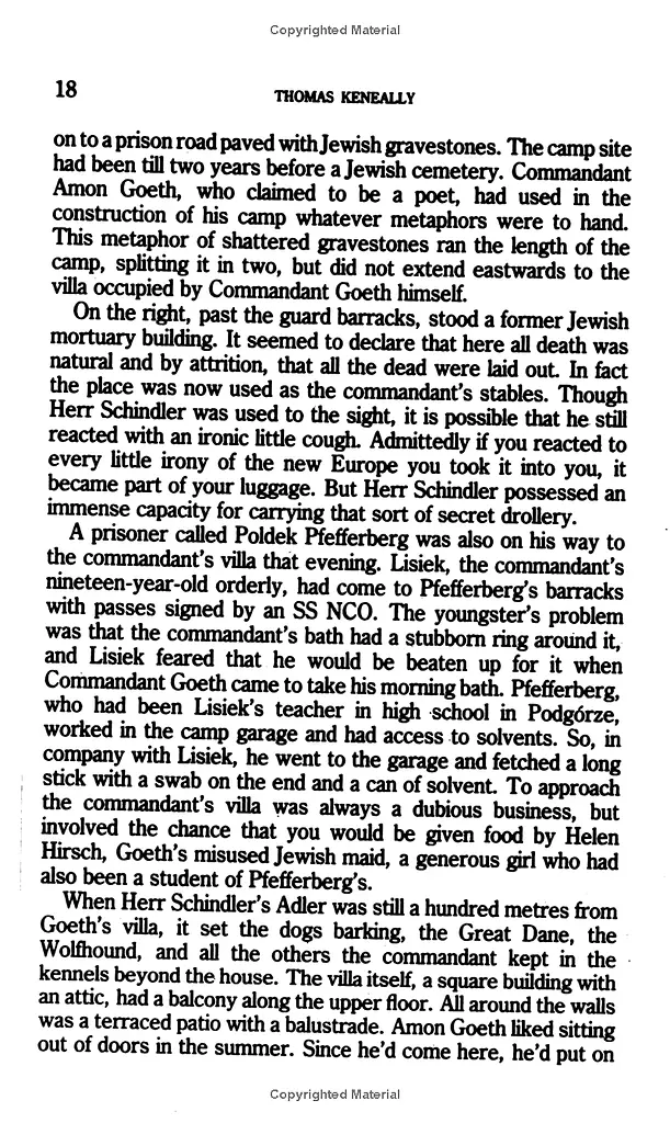 Schindler's Ark - фото 5