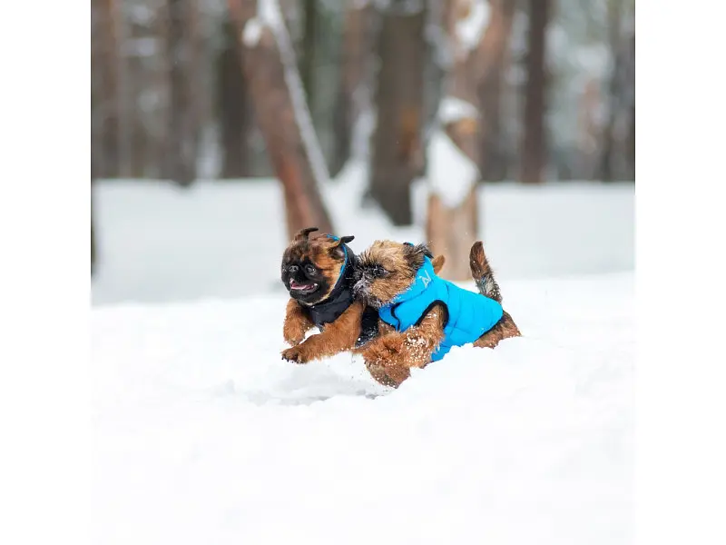 Курточка для животных Airy Vest двусторонняя M 47 чёрно-голубая (1893) - фото 3