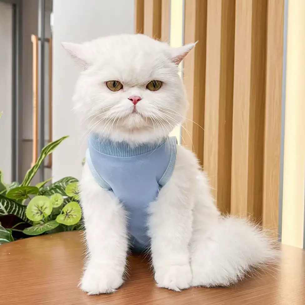 Одяг для котів після операції Holley Blue M - фото 2