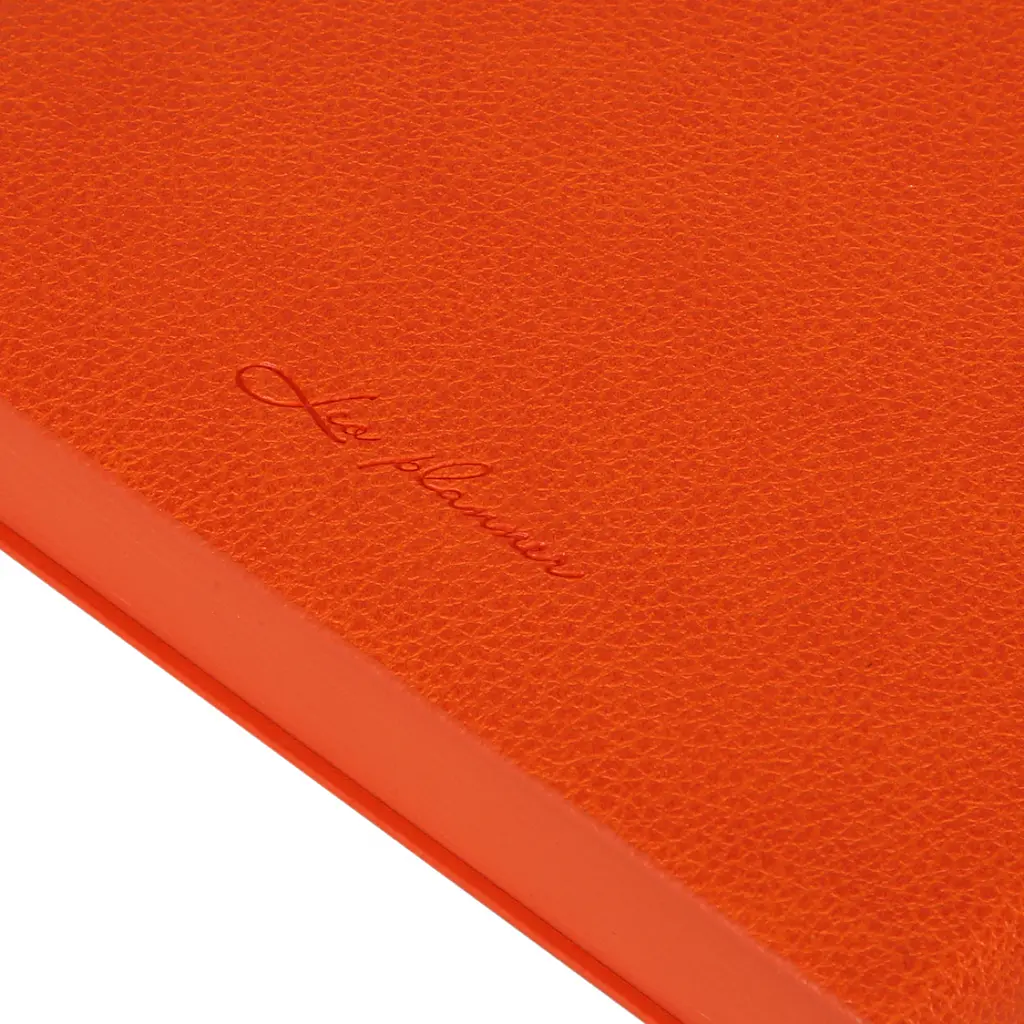 Дневник-деловая записная книжка А5 Leo Planner Binario 2026 мягкий оранжевый 368 страниц (252641) - фото 6