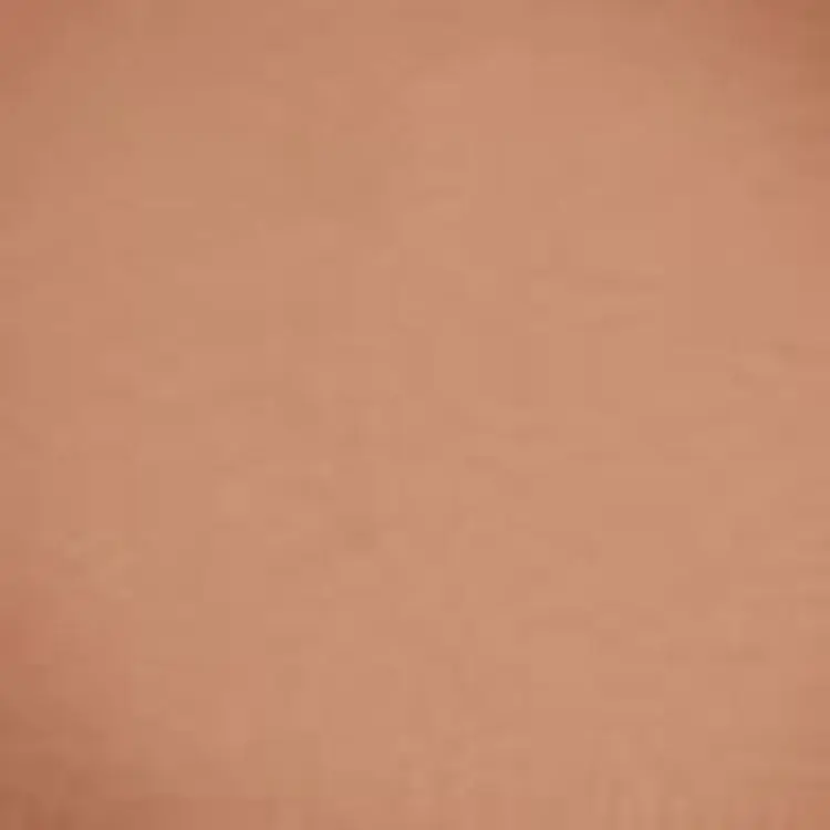 Компактні рум'яна BeYu Velvet Blush 25 4 г - фото 2