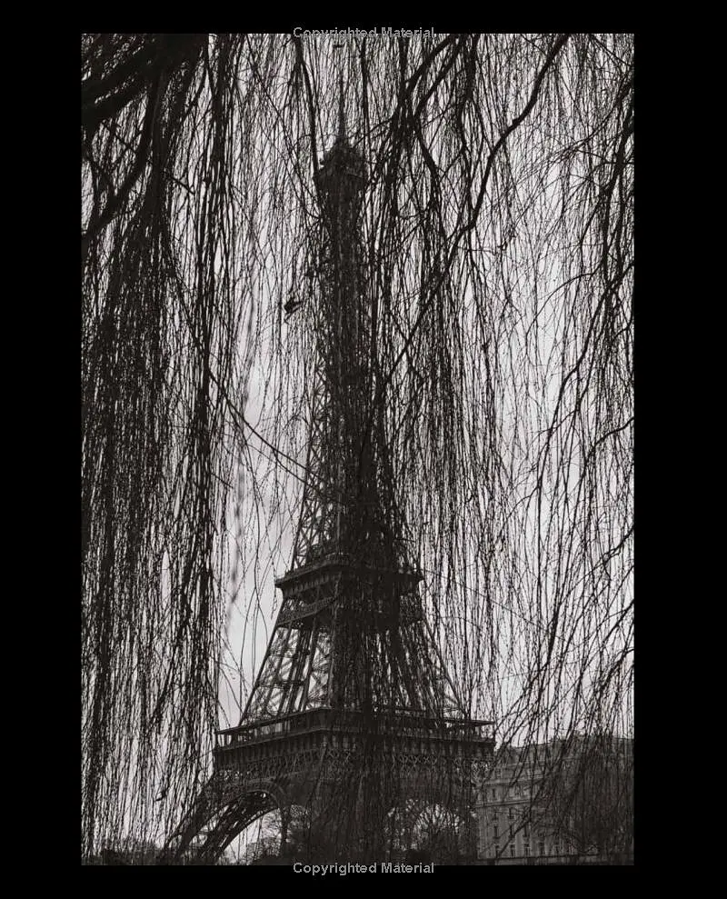 Paris Blues - фото 5