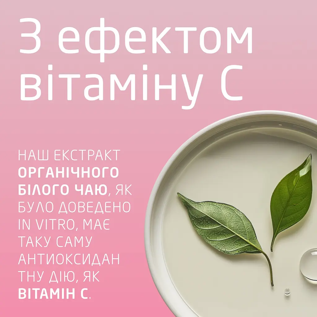 Крем для обличчя Weleda Smoothing Day Cream з дикою трояндою та білим чаєм 40 мл - фото 3