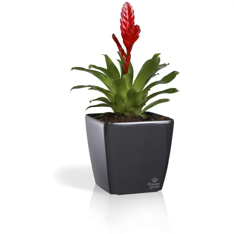 Вазон Plastkon Quadrato Flower Lover 34x34x32 см антрацит - фото 3