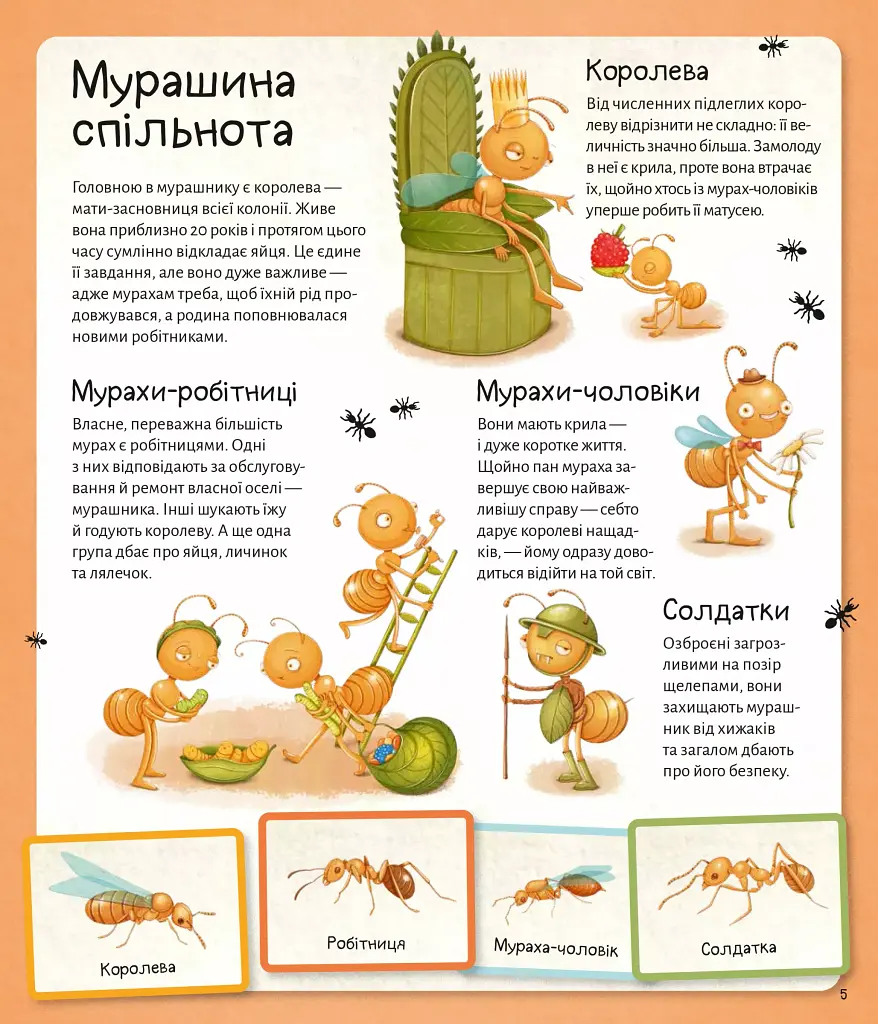 Світ мурах - Штєпанка Секанінова - фото 7