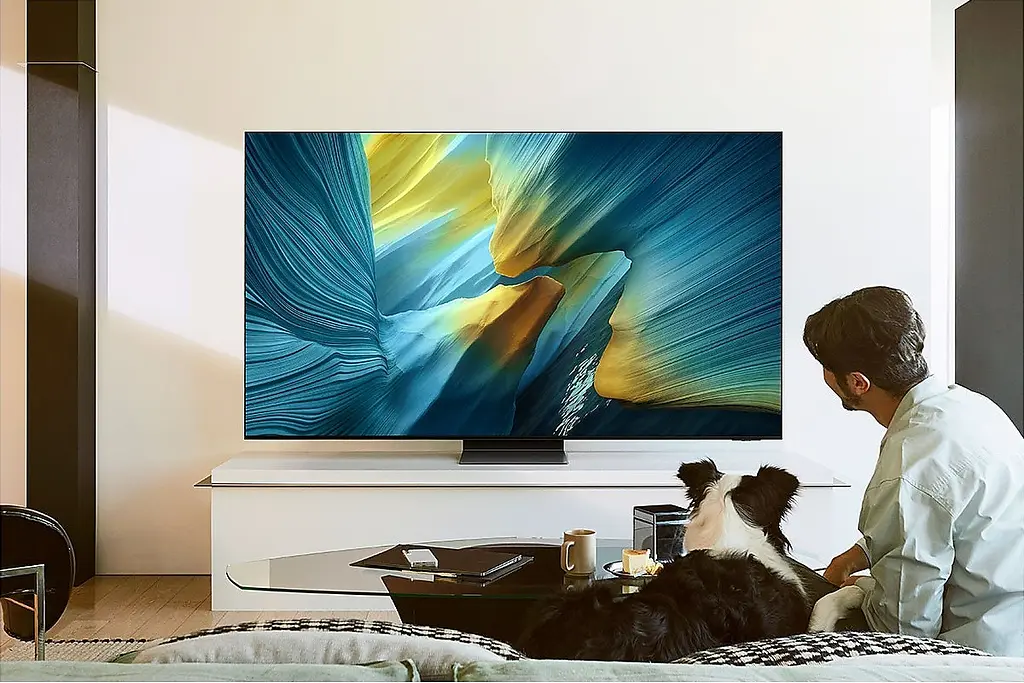 Телевізор Samsung QE65S95FAUXUA - фото 2