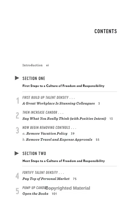 No Rules Rules: Netflix and the Culture of Reinvention - фото 2