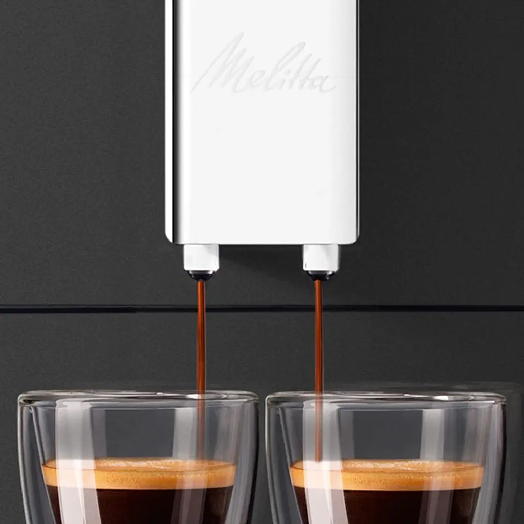 Кофемашина Melitta Caffeo Solo Frosted Black (E950-544) [137159] - фото 5