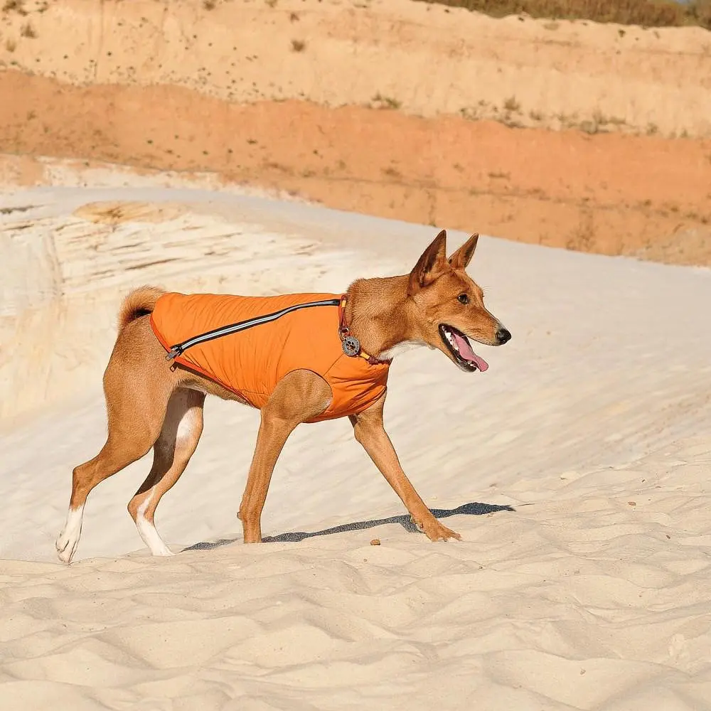 Жилет Pet Fashion E.Vest для собак, розмір M2, помаранчевий - фото 8