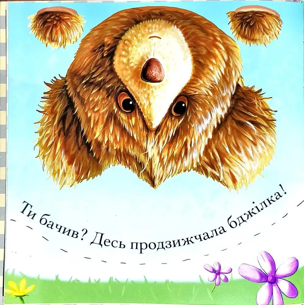 Комплект книг Пригоди ведмедика Меді (2 кн.). Автор - Ґеррі Флемінґ (АССА) - фото 8