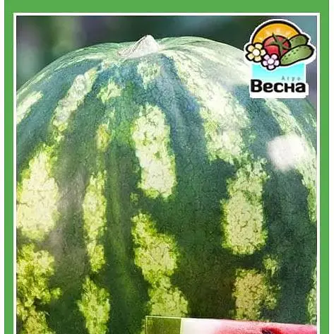Насіння Весна Кавун Скоростиглий 1.5 г (10052) - фото 1