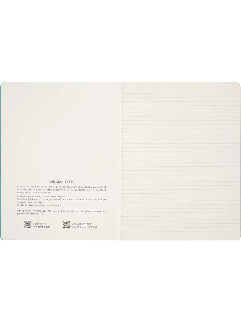 Записник Moleskine Cahier Impressionism великий, Лінійка (SKCAHXL6911S5NL) - фото 6