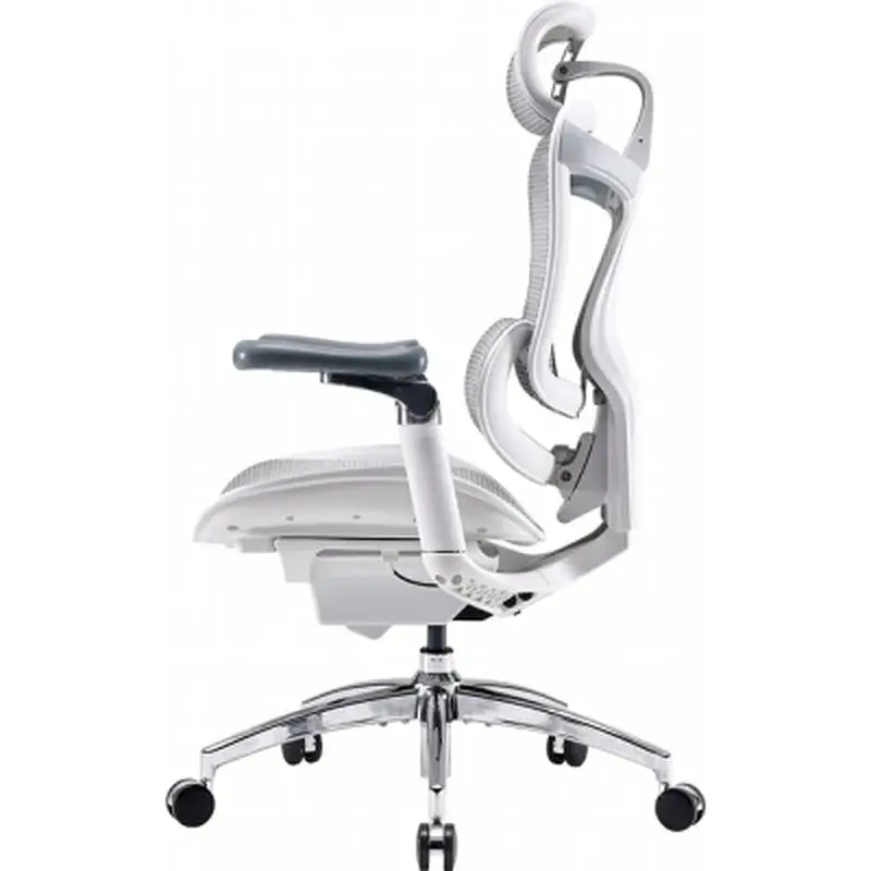 Офісне крісло Sihoo DORO C300 Pro Mesh White (DORO-C300-PRO-M102) - фото 4