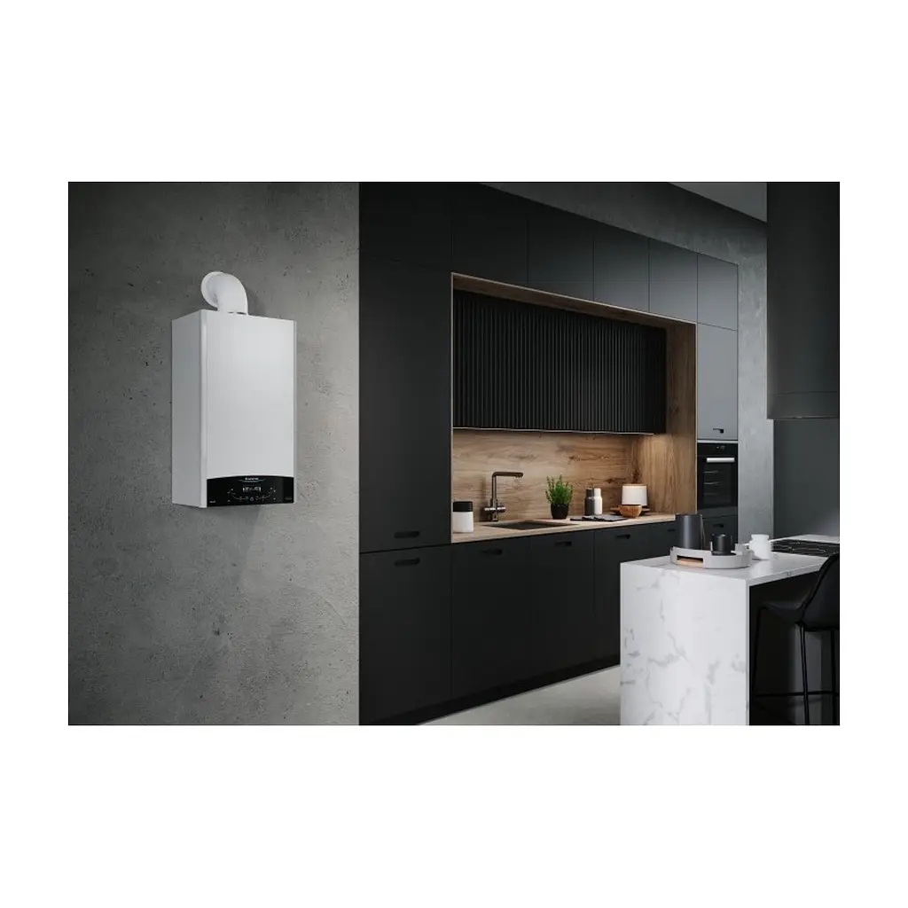 Газовий котел Ariston CLAS X 24 CF EU димохідний двоконтурний (3301313) - фото 3