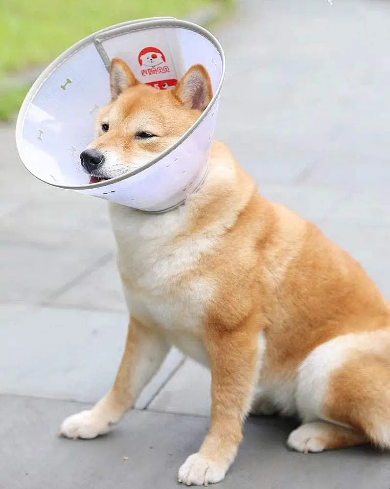Ветеринарний комір для собак і котів Komii Pet Soft Cone Collar - фото 4
