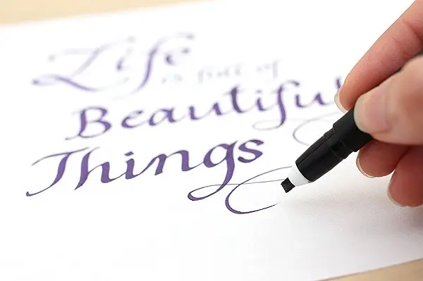 Ручка для каліграфії Calligraphy Pen 1мм Sakura - фото 4