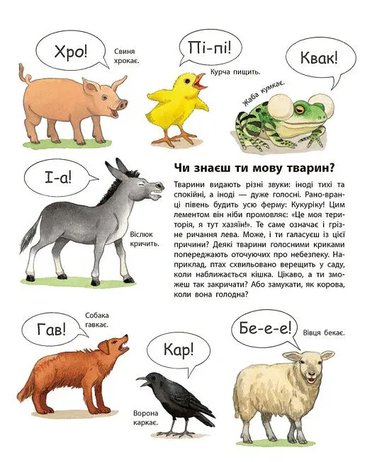 Моя перша мальована енциклопедія. Тварини - Сюзанна Гернхаузер - фото 7