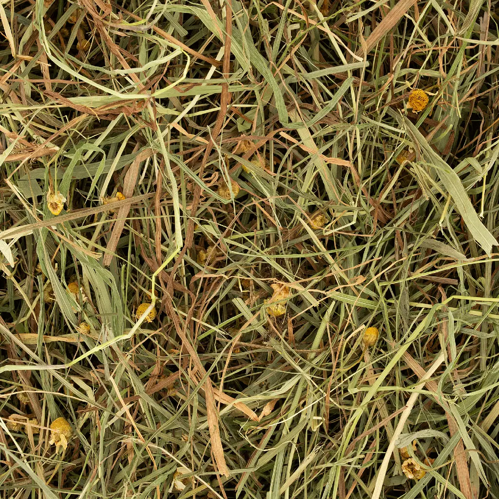 Травʼяне сіно для гризунів Deli Nature Rodelicious Herbal Hay із сушеною ромашкою та мʼятою 600 г - фото 2
