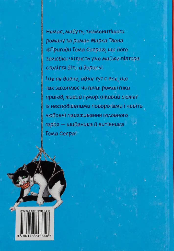 Пригоди Тома Соєра - фото 2