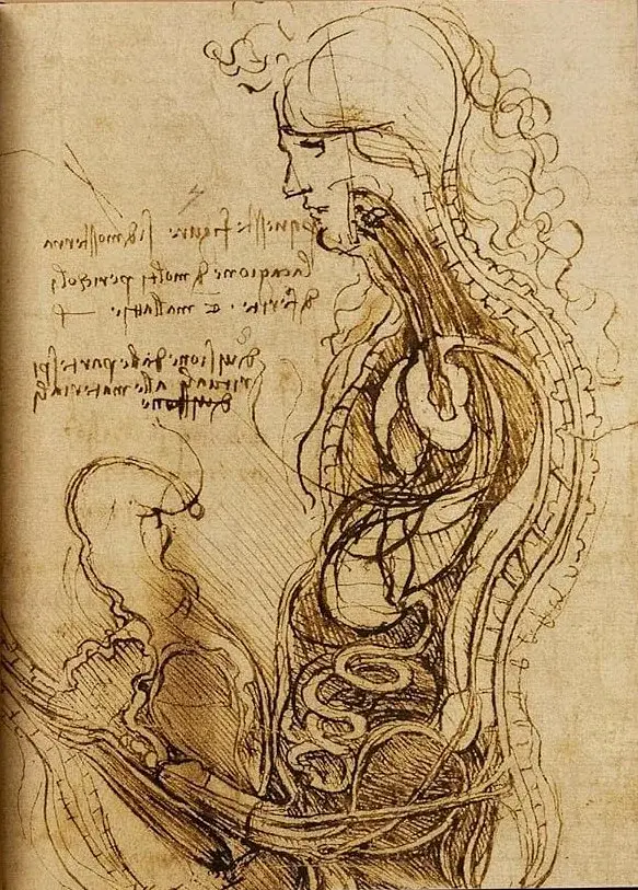 Leonardo. The Complete Paintings and Drawings - фото 11