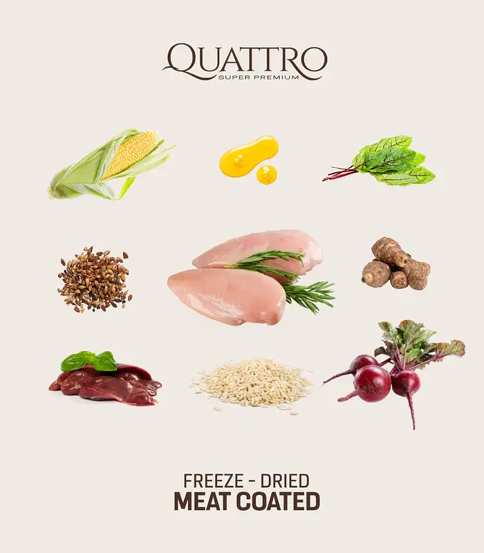 Корм Quattro Cat Sterilized Chicken для стерилізованих котів з куркою 1.5 кг - фото 3