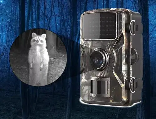 Фотолівка мисливська — Outdoor camera - фото 5