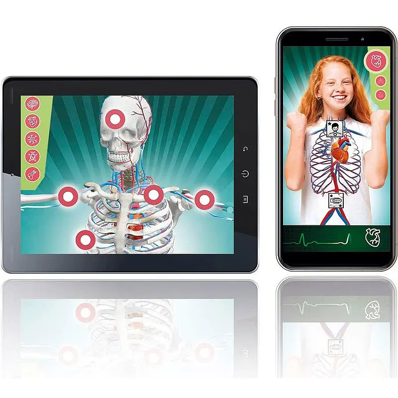 Научный набор Супер анатомия - Clementoni 50919 - фото 4