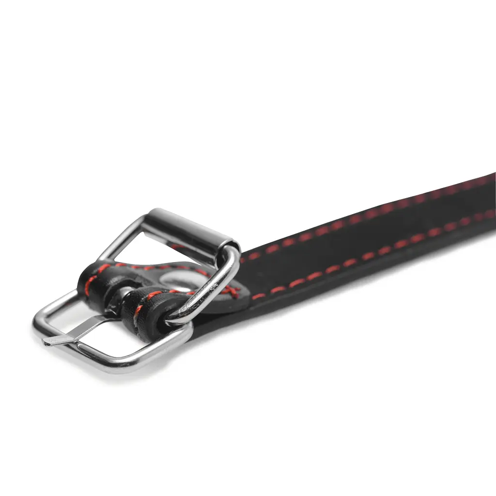 Силіконовий кляп кісточка Master Series Dog Bone Gag, 15.4 см, чорний - фото 2