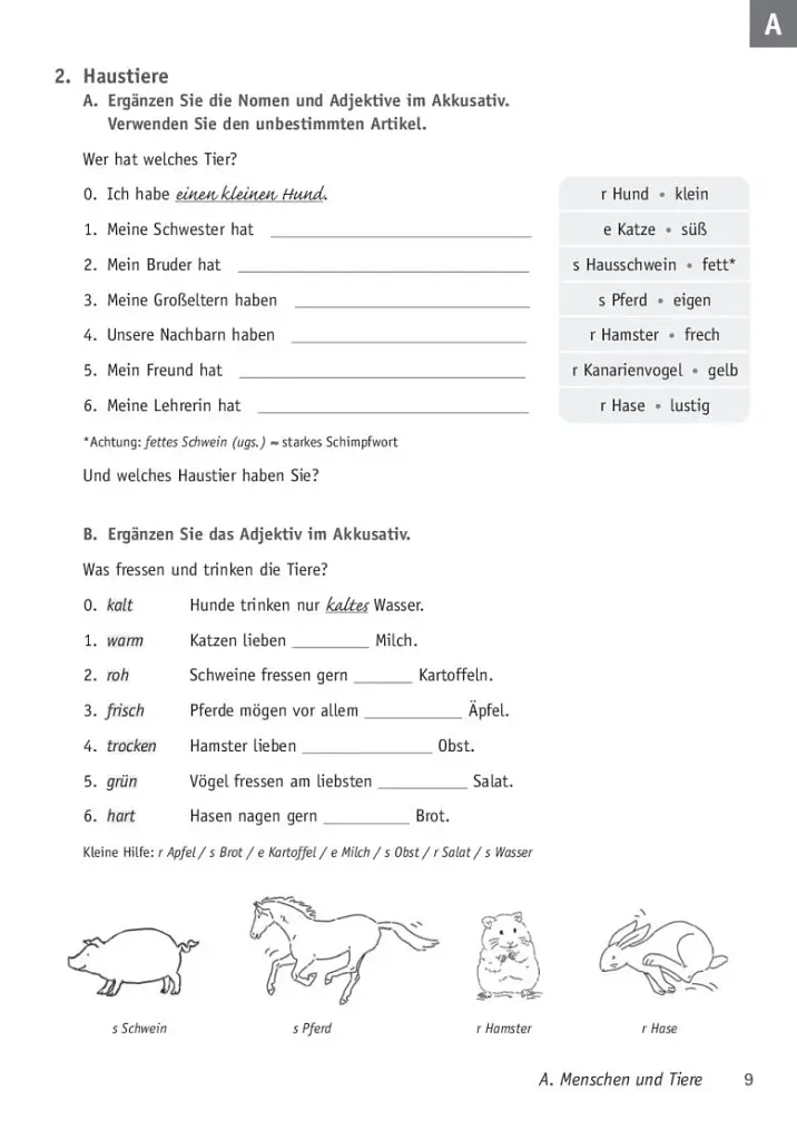 Deutsch uben. Band 17. Adjektive Buch - фото 3