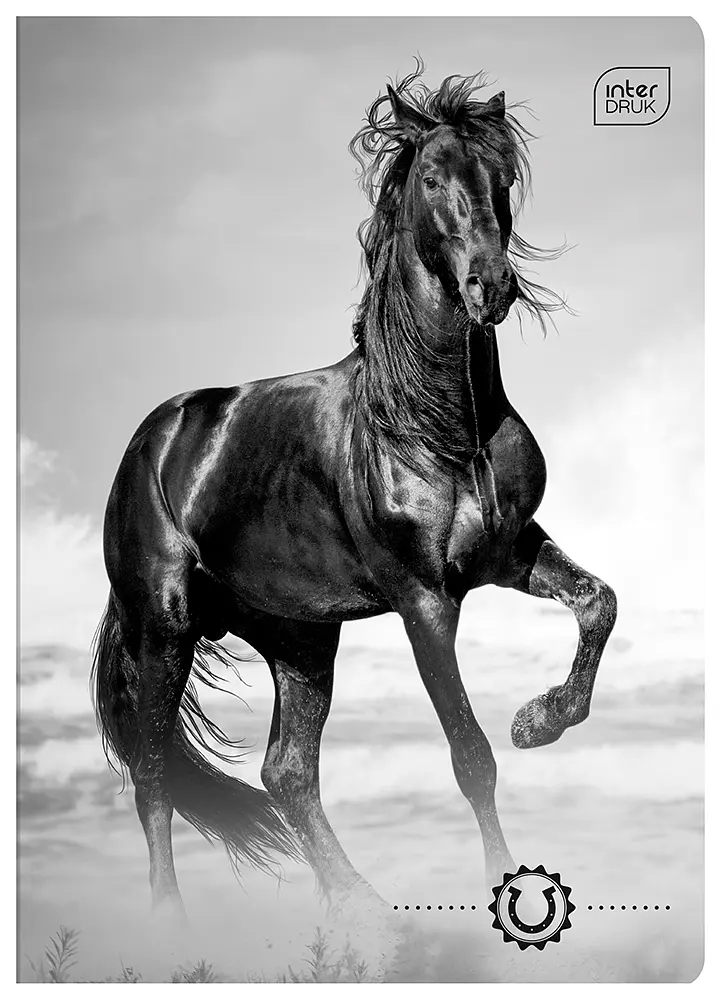 Зошит Interdruk Horses клітинка A5 12 аркушів 8 шт. (298546-8) - фото 5