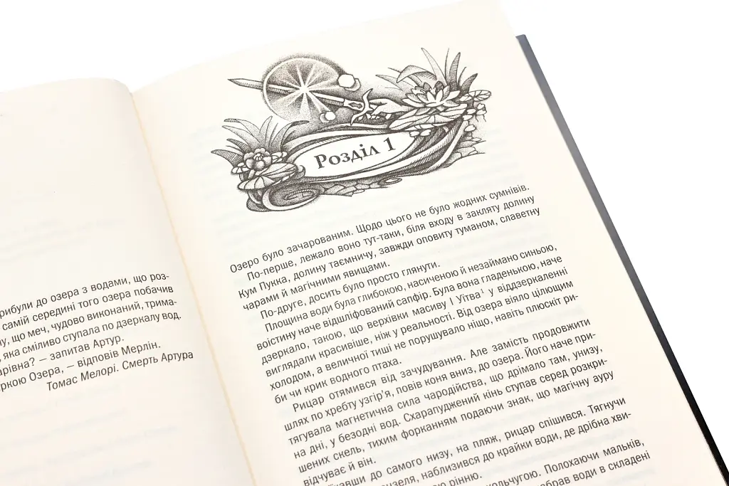 Відьмак. Володарка Озера Книга 7 - фото 4