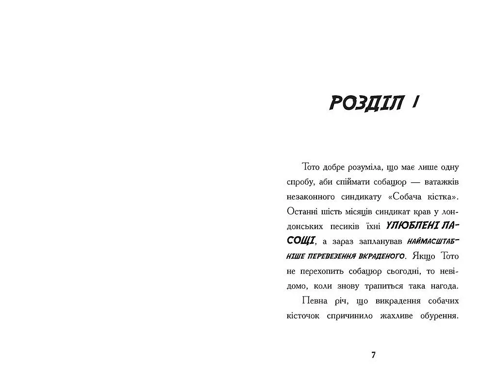 Тото. Кішка-ніндзя і КОТОстрофа суперзірки. Книга 3 - Дермот О'лірі (Ч1522003У) - фото 4