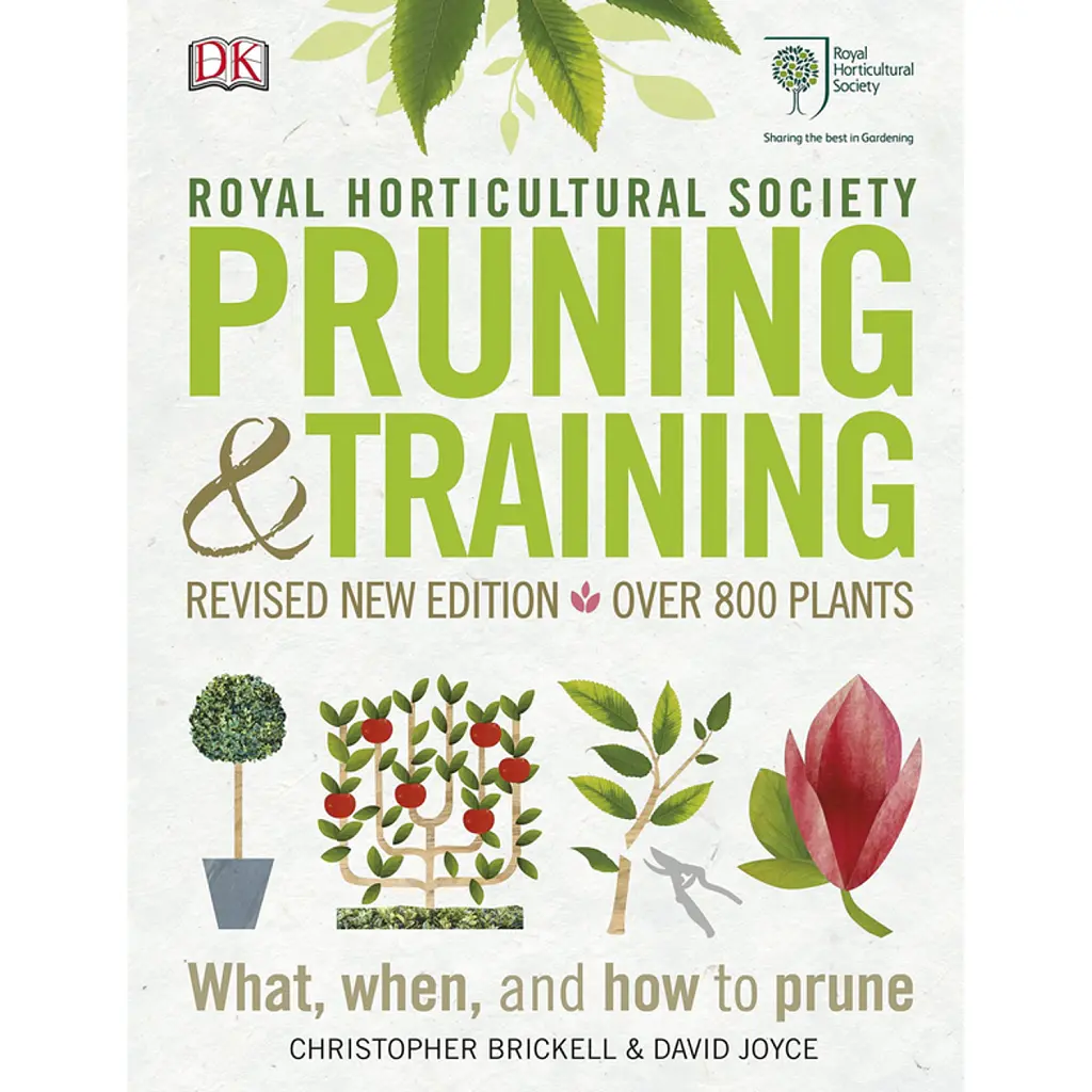 Pruning and Training - Крістофер Брікелл