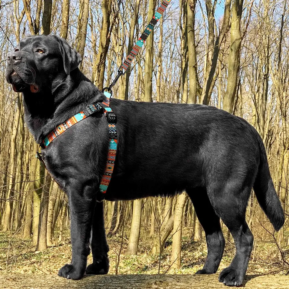 Шлея для собак BronzeDog Tribal L нейлон ацтеки різнобарвна 58-71 см 72/1335 - фото 2