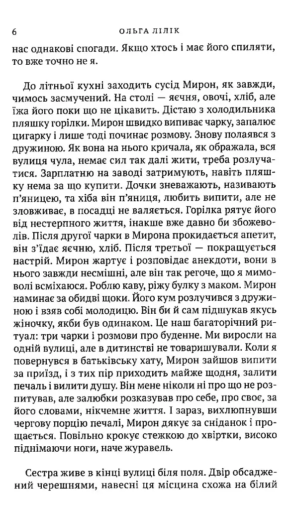 Квіти цикорію - фото 4