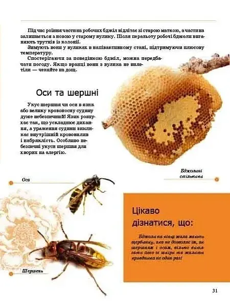 Комахи та інші - Тетяна Жабська - фото 8